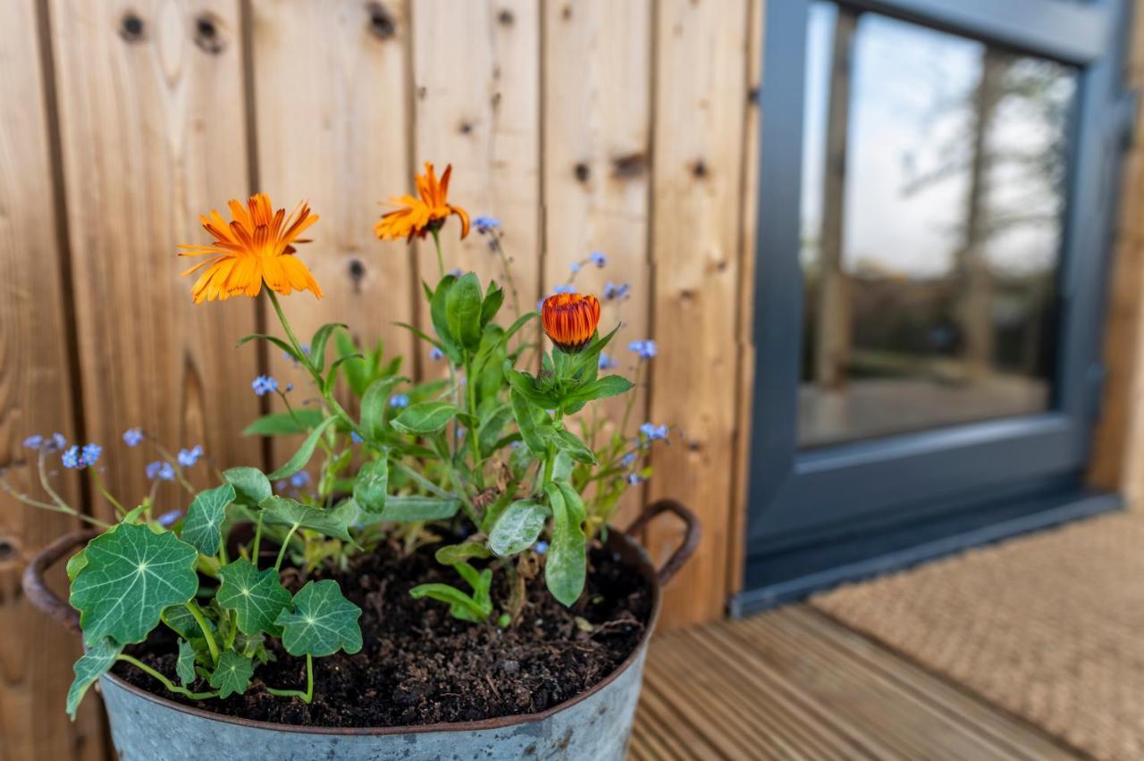 Luxury Glamping Cabin With Outdoor Bath On Cornish Flower Farm Truro Exterior foto
